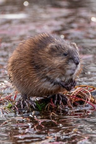 Фото: Андрей Зайченко