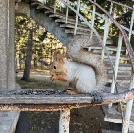 Фото: пресс-служба Минприроды Хакасии