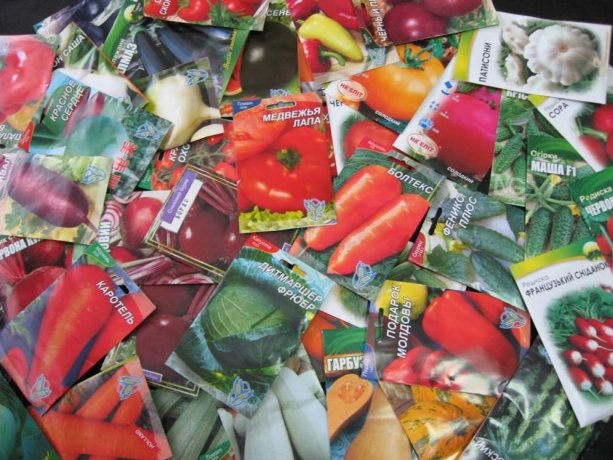 Фото пресс-службы Управления Россельхознадзора по республикам Хакасия и Тыва