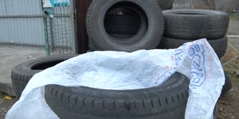 Стоп-кадр видео Минприроды Хакасии