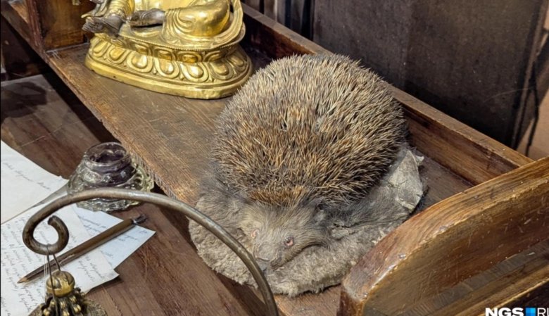 Фото: Мария Ленц / NGS24.RU