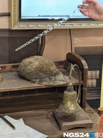 Фото: Мария Ленц / NGS24.RU