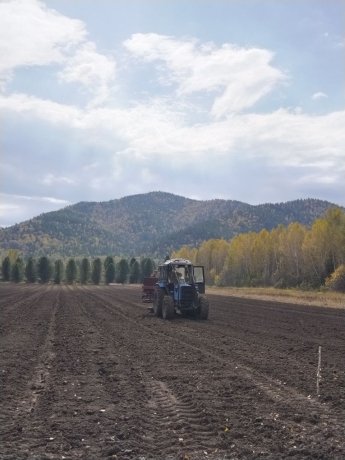 Фото: пресс-служба Минлеса Хакасии