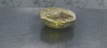 Фото: пресс-служба Прокуратуры Хакасии