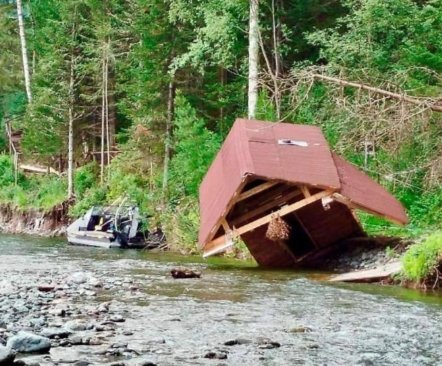 Фото: Фонд «Вольное дело»