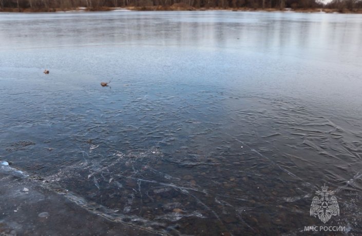 Фото: пресс-служба МЧС по Хакасии