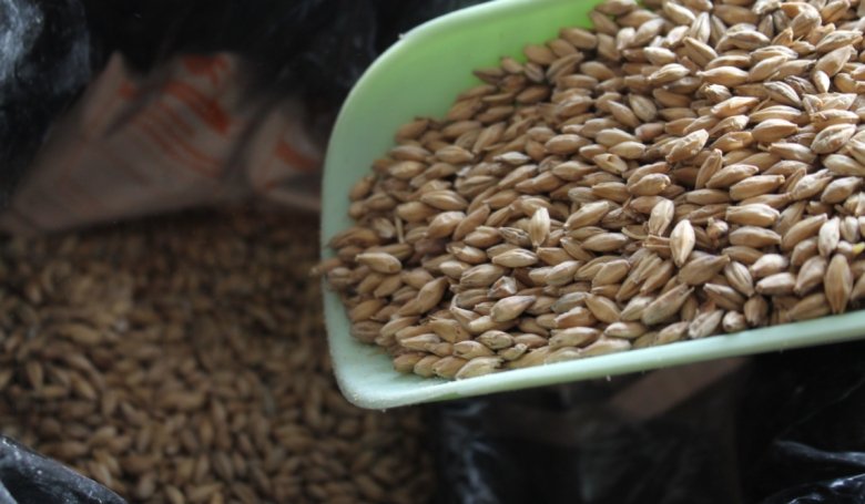 Фото: пресс-служба Россельхознадзора по Хакасии и Тыве