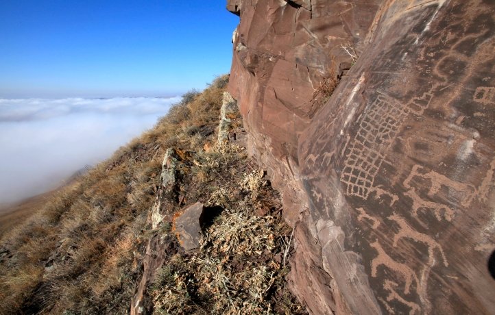 Фото: пресс-служба Росзаповедцентра Минприроды России