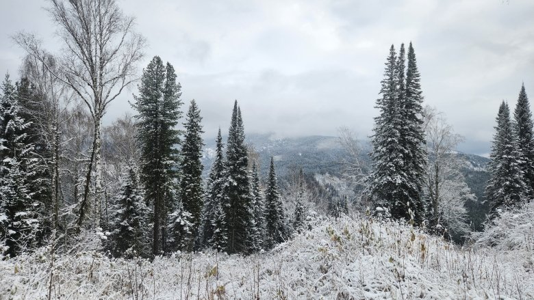 Фото: группа в Вк "Горнолыжный комплекс Горная Жемчужина" 