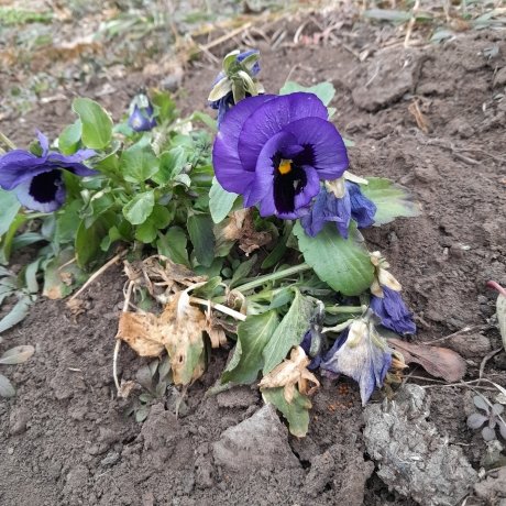 Фото: читатели АДИ19 