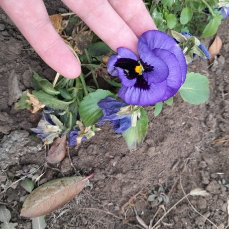 Фото: читатели АДИ19 