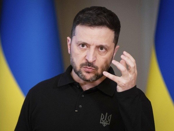 Владимир Зеленский© AP Photo / Efrem Lukatsky