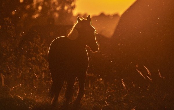 Владимир Смирнов/ТАСС