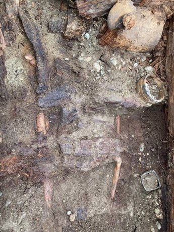 Фото: Мария Дудник