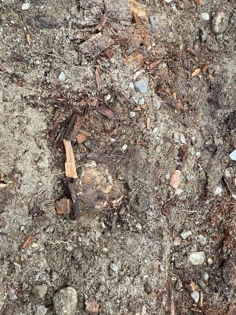 Фото: Мария Дудник