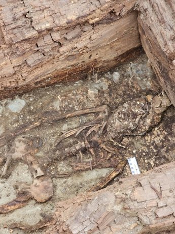 Фото: Пётр Амзараков