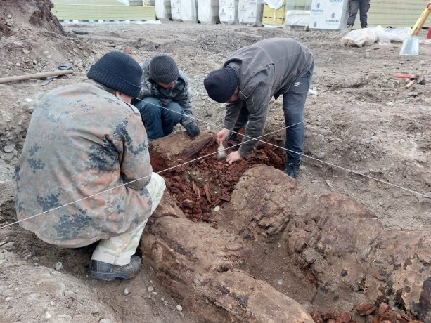 Фото: Пётр Амзараков