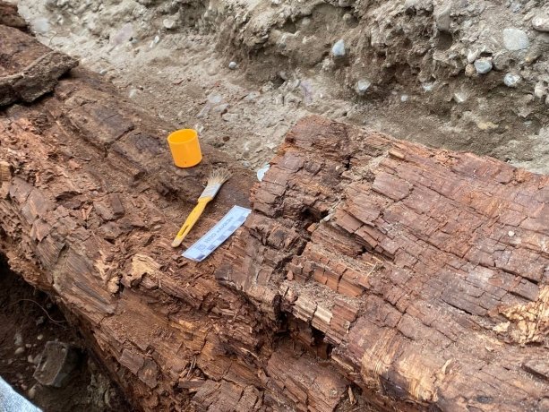 Фото: Мария Дудник