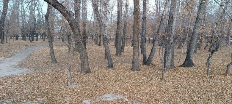 Фото: Владимир Красилов 