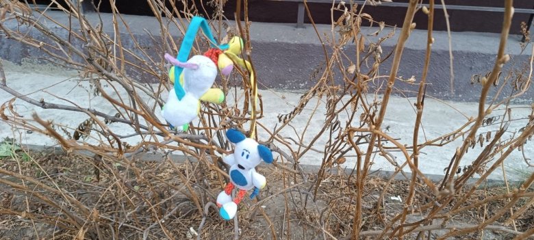 Фото: Владимир Красилов 