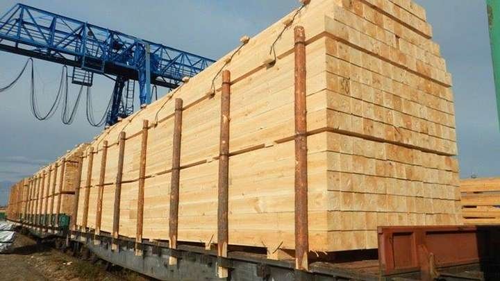 Фото: пресс-службы Управления Россельхознадзора по республикам Хакасия и Тыва