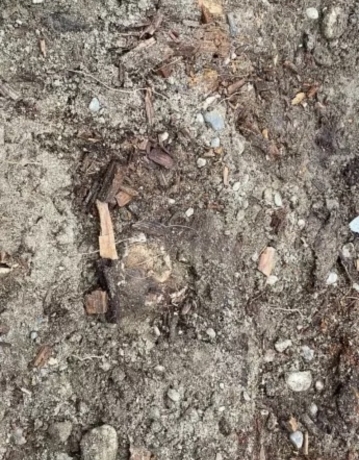 Фото: Мария Дудник 