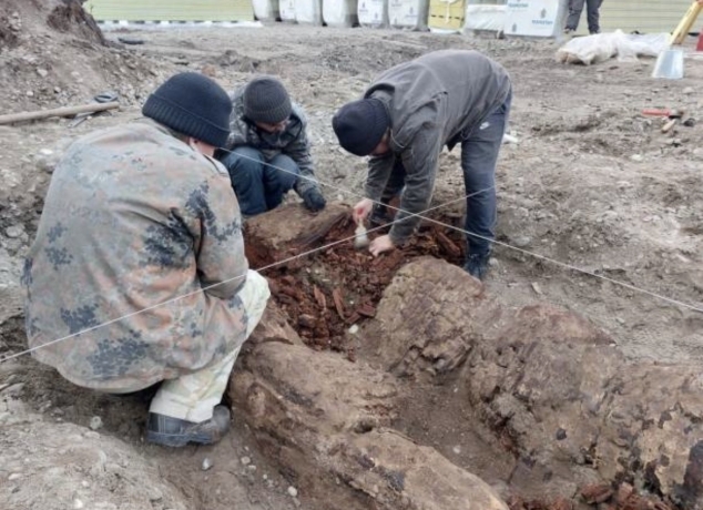 Фото: Мария Дудник 
