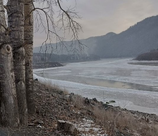 Фото: Владимир Красилов 