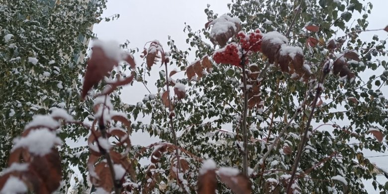 Фото: Владимир Красилов 