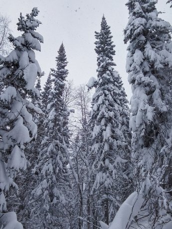 Фото: группа в Вк "Приисковый. Ивановские озера" 