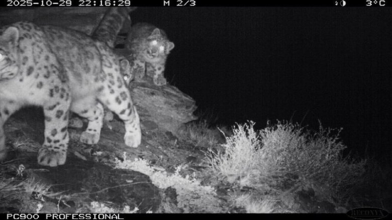 Фото: Заповедник «Саяно-Шушенский» и НП «Шушенский бор»