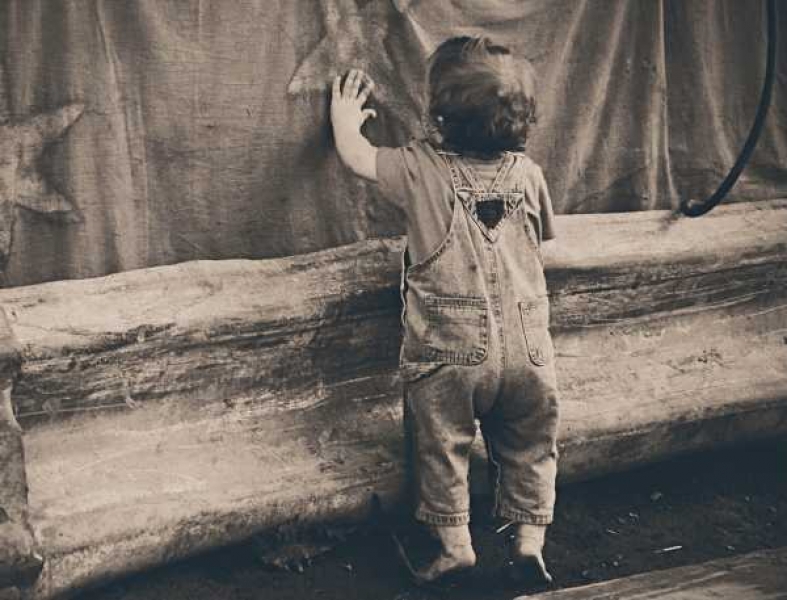 Фото: pixabay.com 