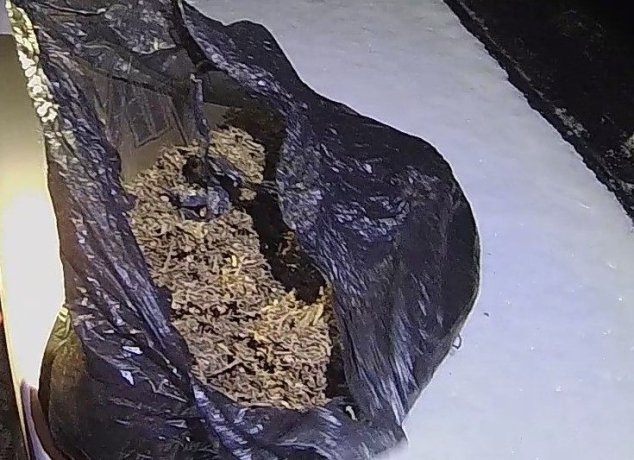 Фото: пресс-служба МВД по Хакасии