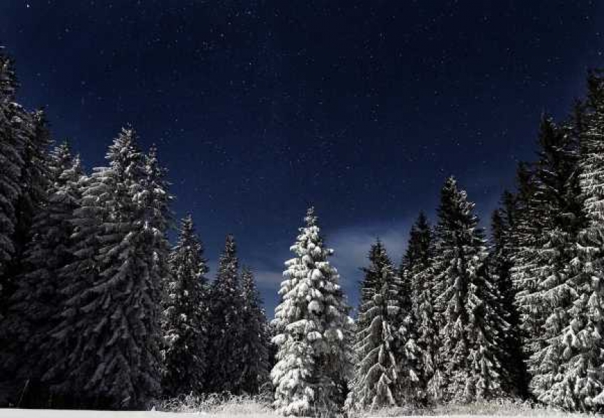 Фото: pixabay.com 