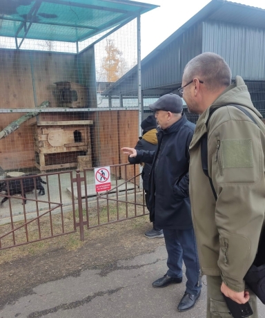 Фото: Тг-канал Минприроды Хакасия 