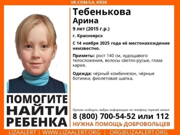 Фото: Поисково-спасательный отряд ЛизаАлерт Красноярского края