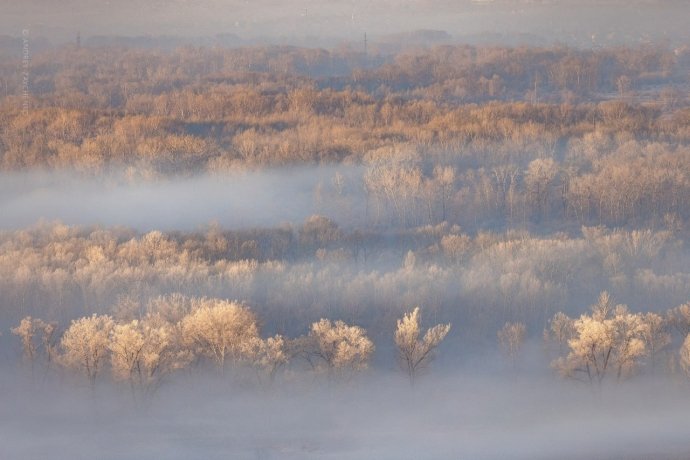 Фото: Андрей Зайченко 