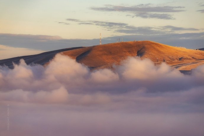Фото: Андрей Зайченко 
