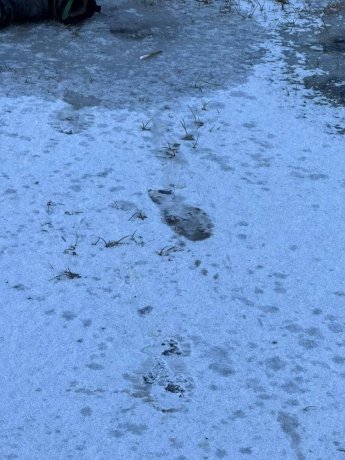 Фото: СУ СК России по Красноярскому краю и Хакасии