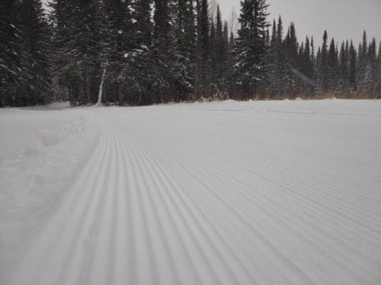Фото: страница Вконтакте Комплексная спортивная школа 