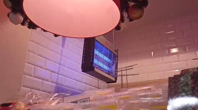 Фото: Стопкадр эфира «Утро России»