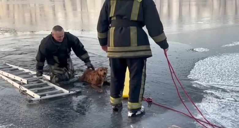 Фото: МЧС по Красноярскому краю