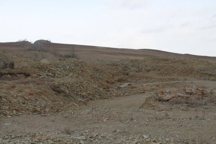 Фото: пресс-служба Россельхознадзора по Хакасии и Тыве