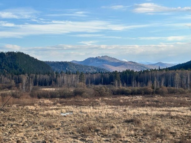 Фото: пресс-служба СУ СК по Красноярскому краю и Хакасии
