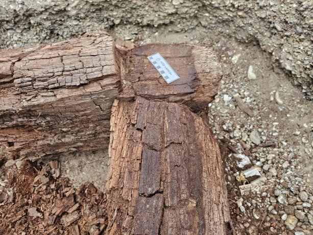 Фото: Пётр Амзараков 