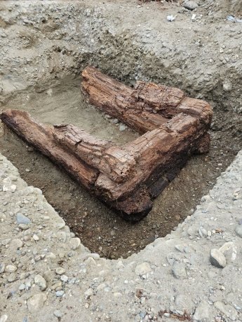 Фото: Пётр Амзараков 