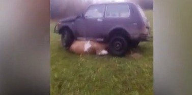 Фото: Стопкадр эфира ГТРК "Хакасия"