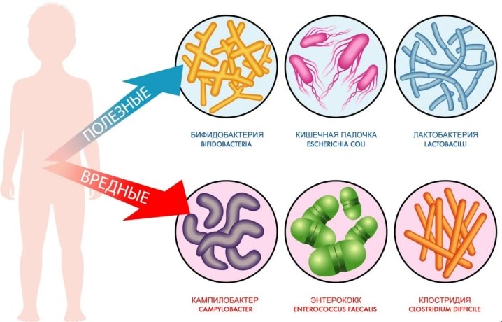 Фото: Тг-канал Минздрав Хакасии