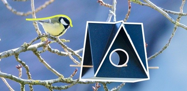 Источник: Авторский материал пользователя платформы. Источник фото: Unsplash (https://unsplash.com/)