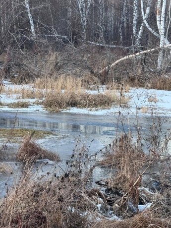 Фото: СУ СК России по Красноярскому краю и Хакасии 